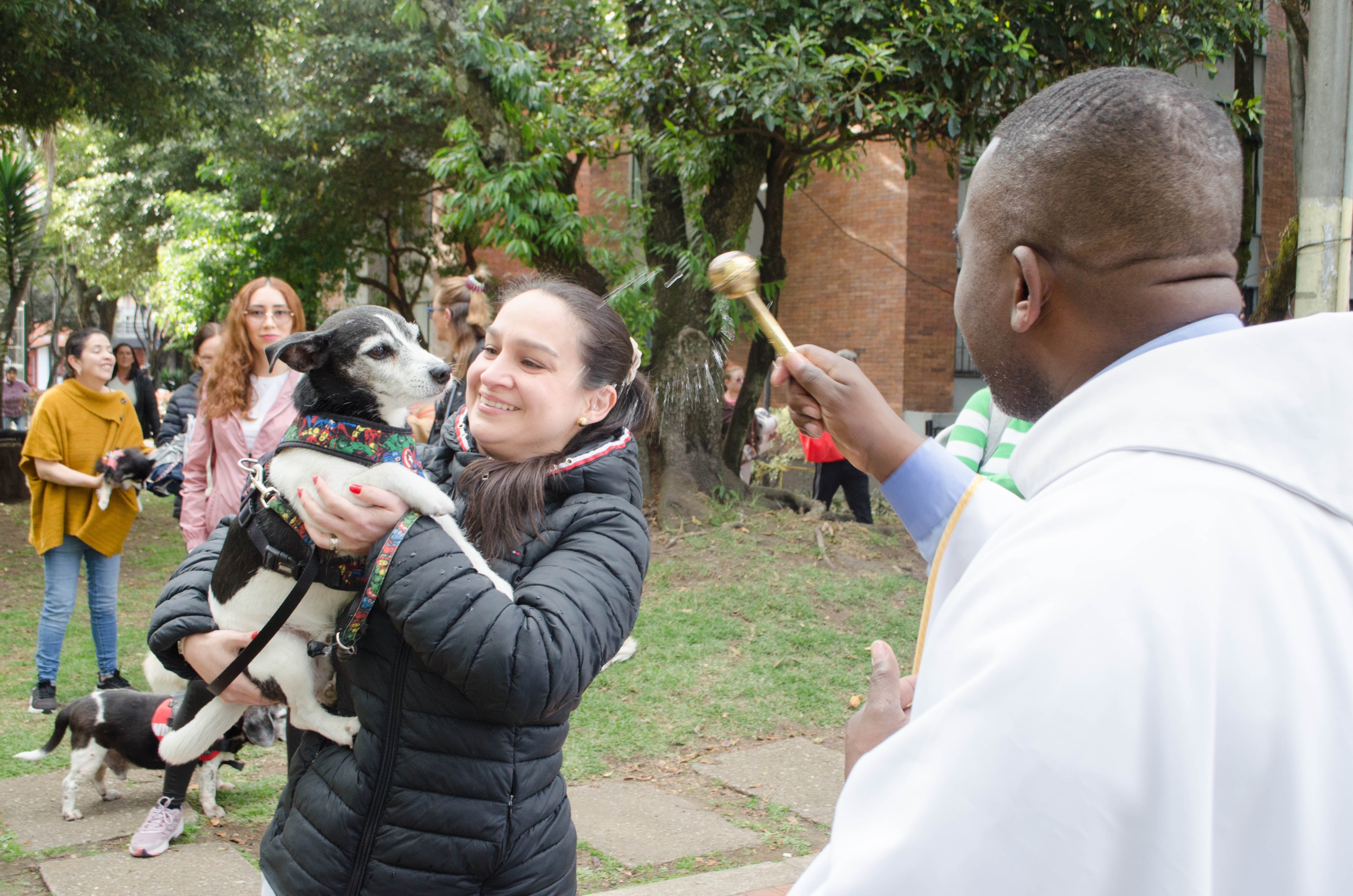 Bendición de mascotas 2025 san Francisco de Asís