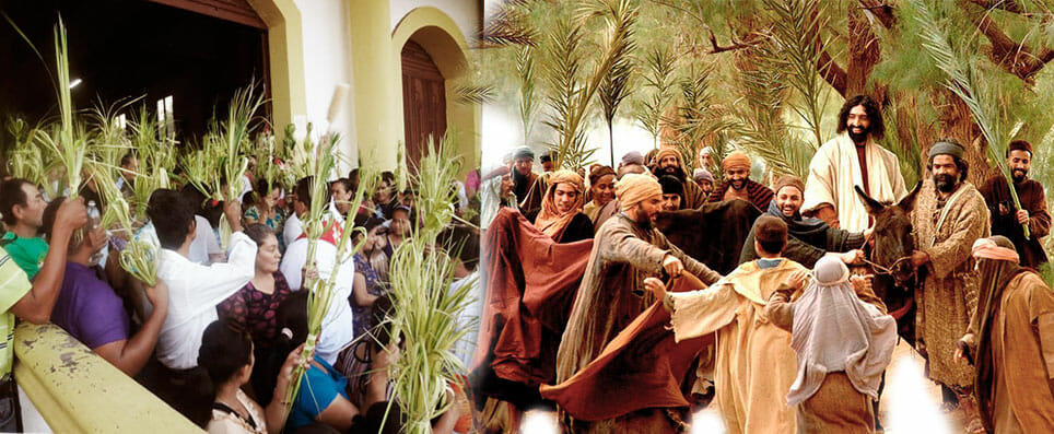 Domingo de ramos