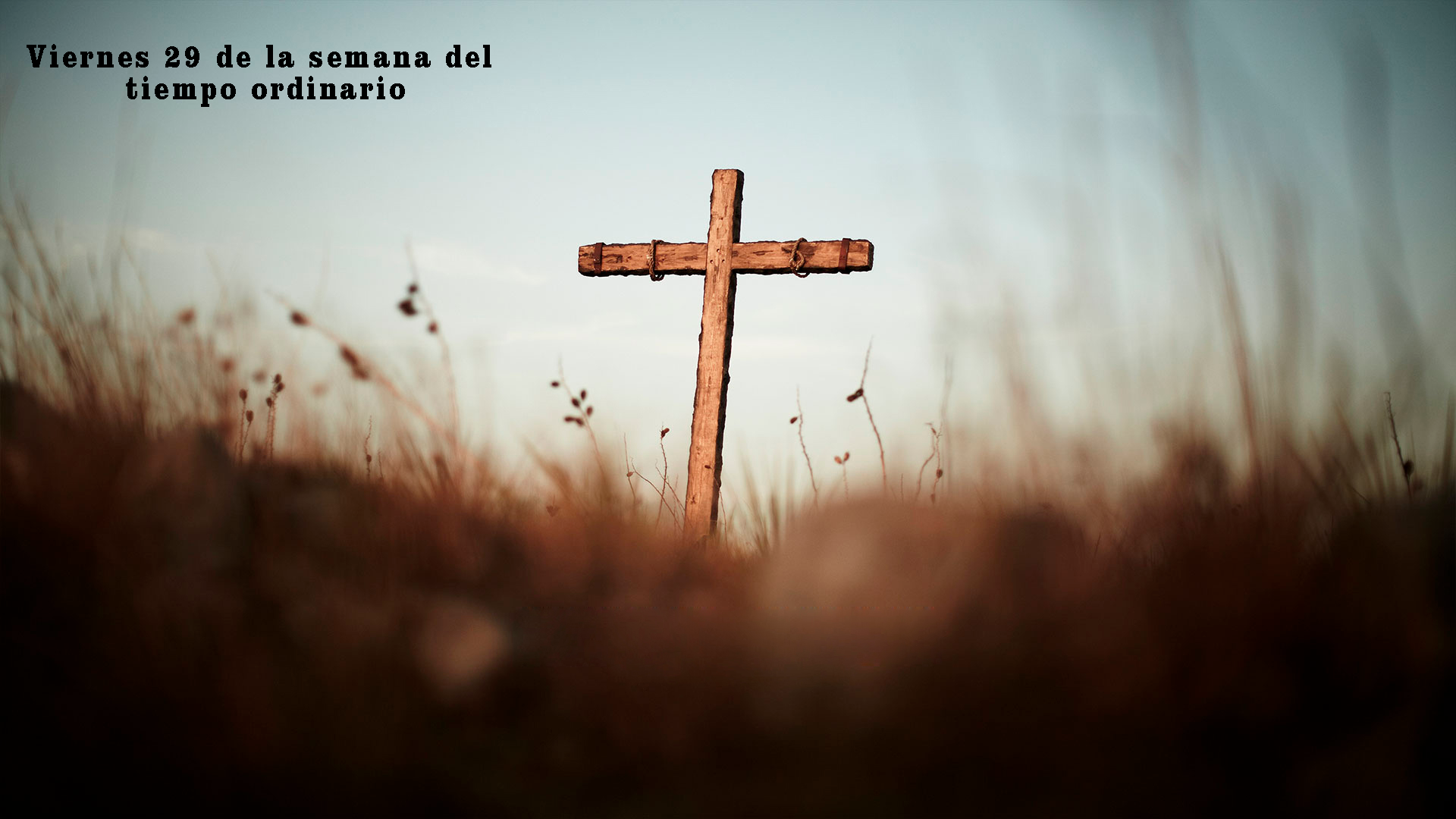 horario