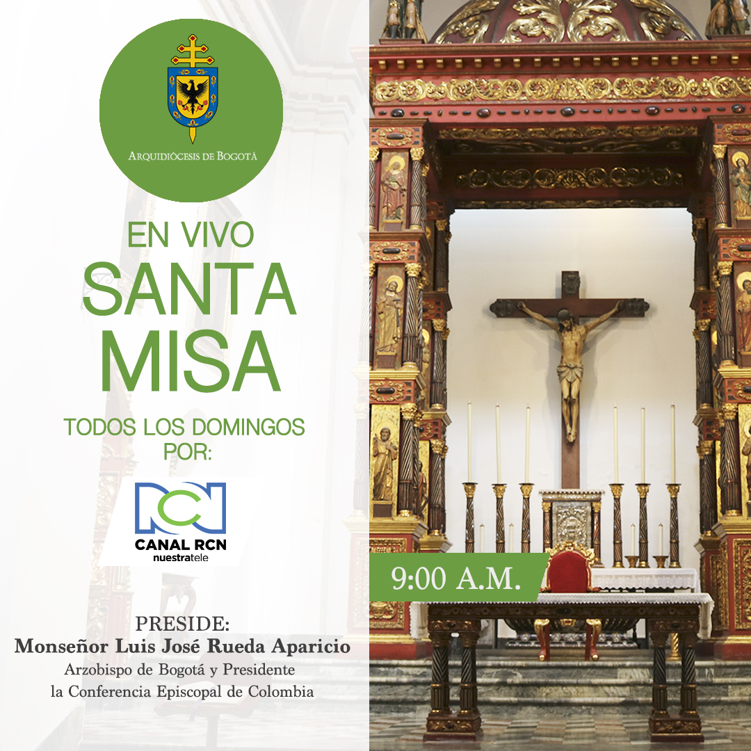 Santa Misa domingo