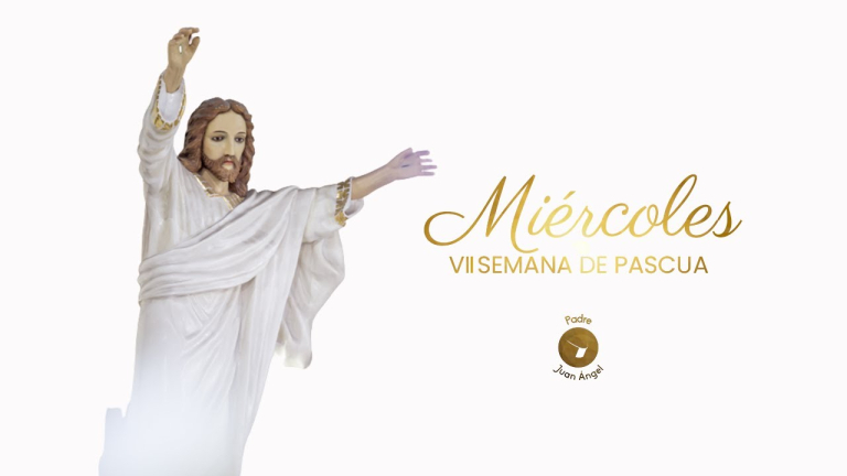 evangelio del dia